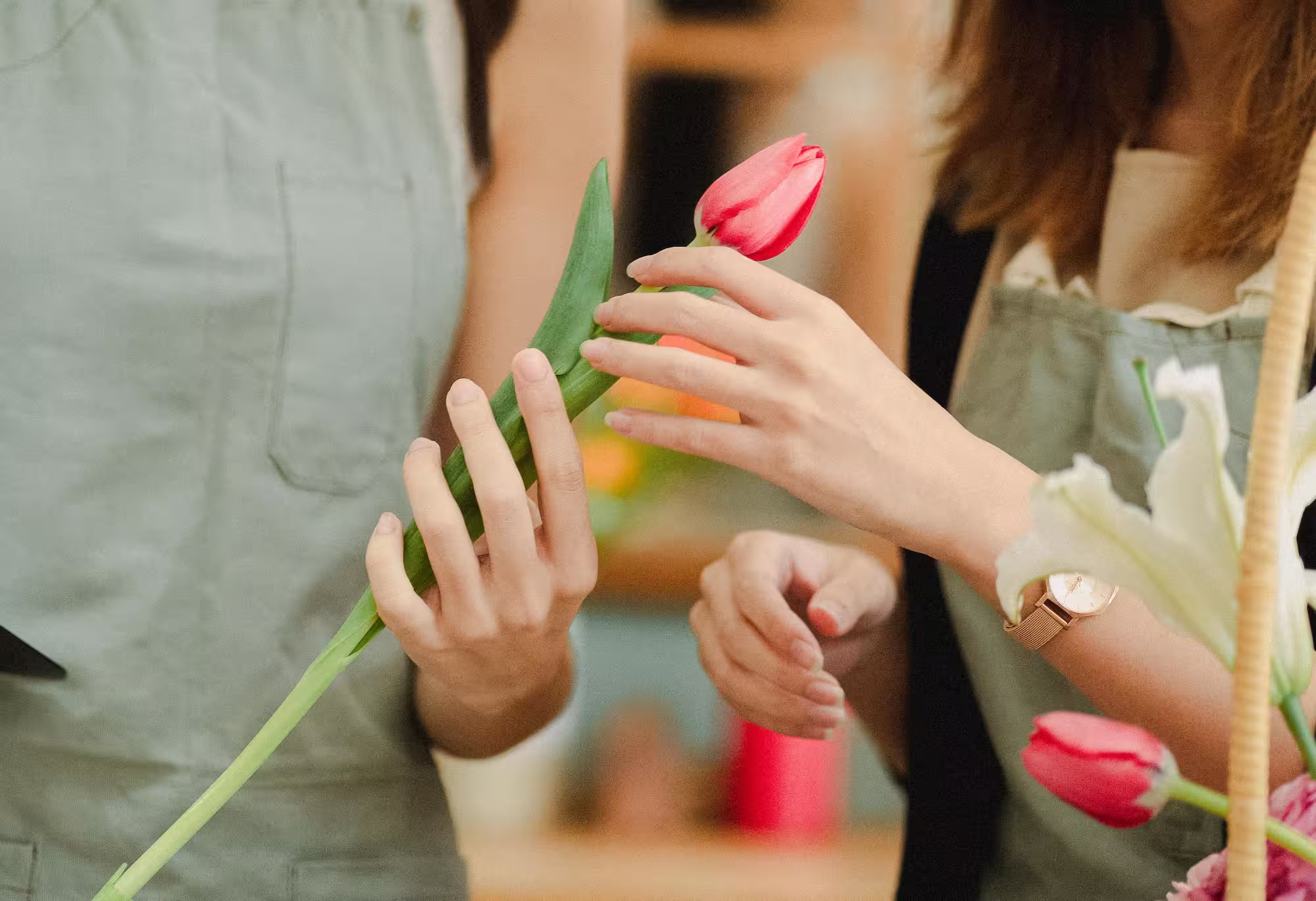 Floristerías En Yondó