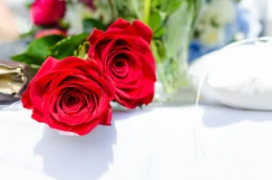 Hermosas-Rosas-rojas.