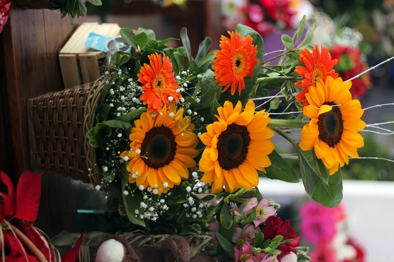 Floristerías En Candelaria