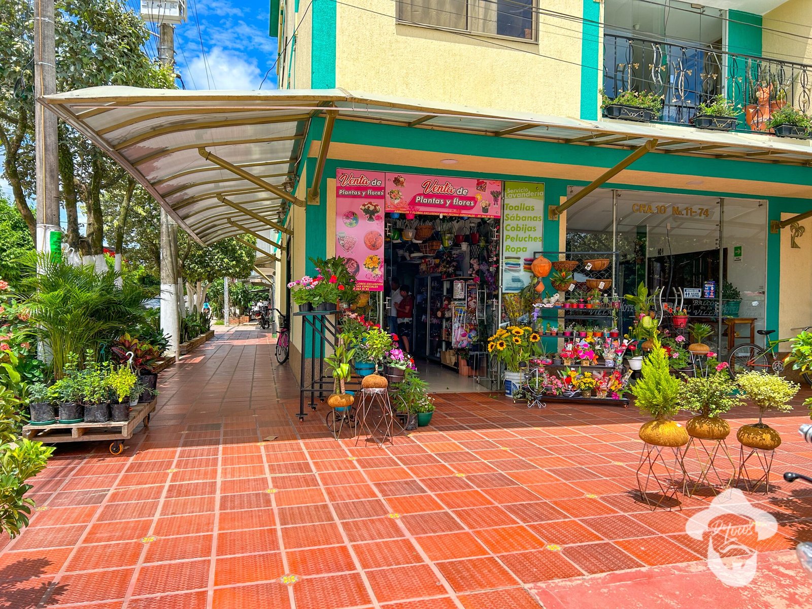 Floristerías en Casanare