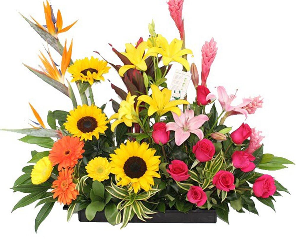 Floristerías en Guainía
