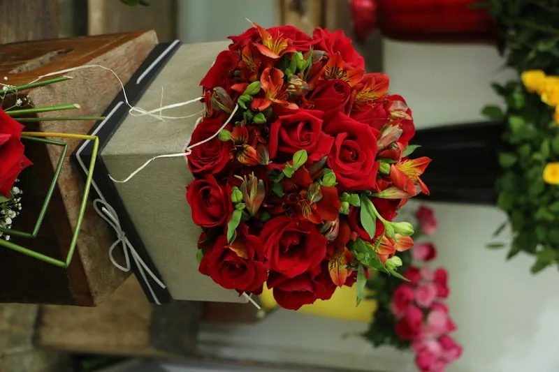 Floristerías En Juan De Acosta