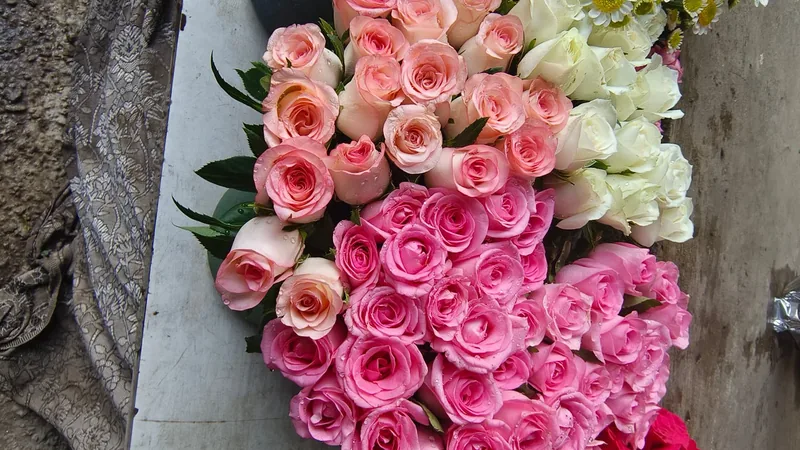 Floristerías En Manatí