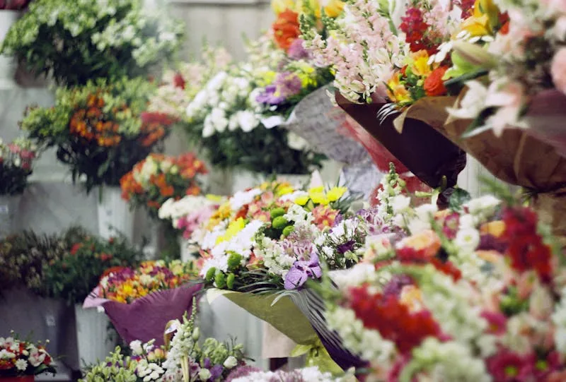 Floristerías En Palmar De Varela