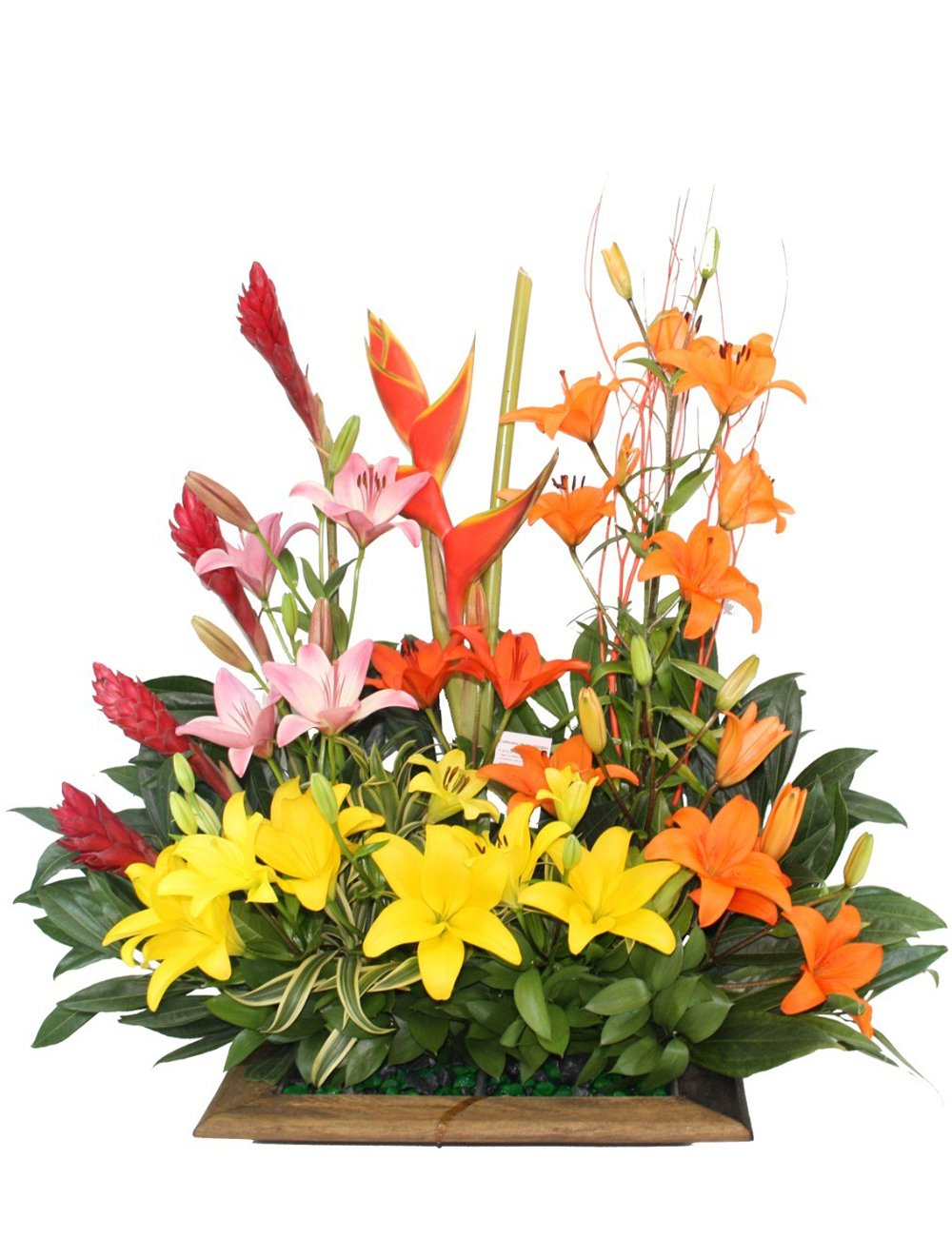 Floristerías en Vichada