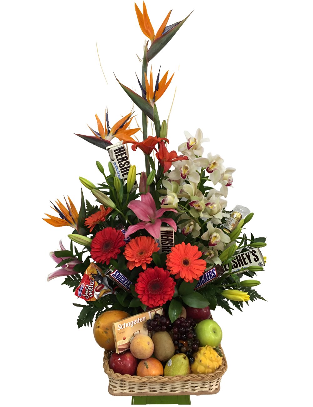 Floristerías En Baranoa