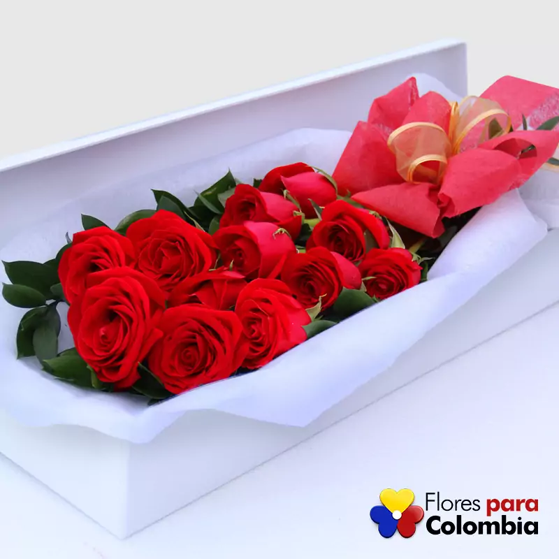 Floristerías En Barrancabermeja
