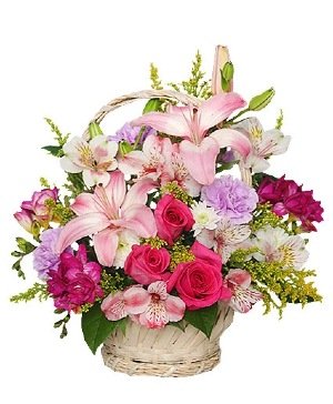 Floristerías En Barrancas