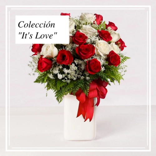 Floristerías En Dibulla