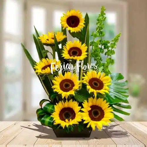 Floristerías En El Bagre