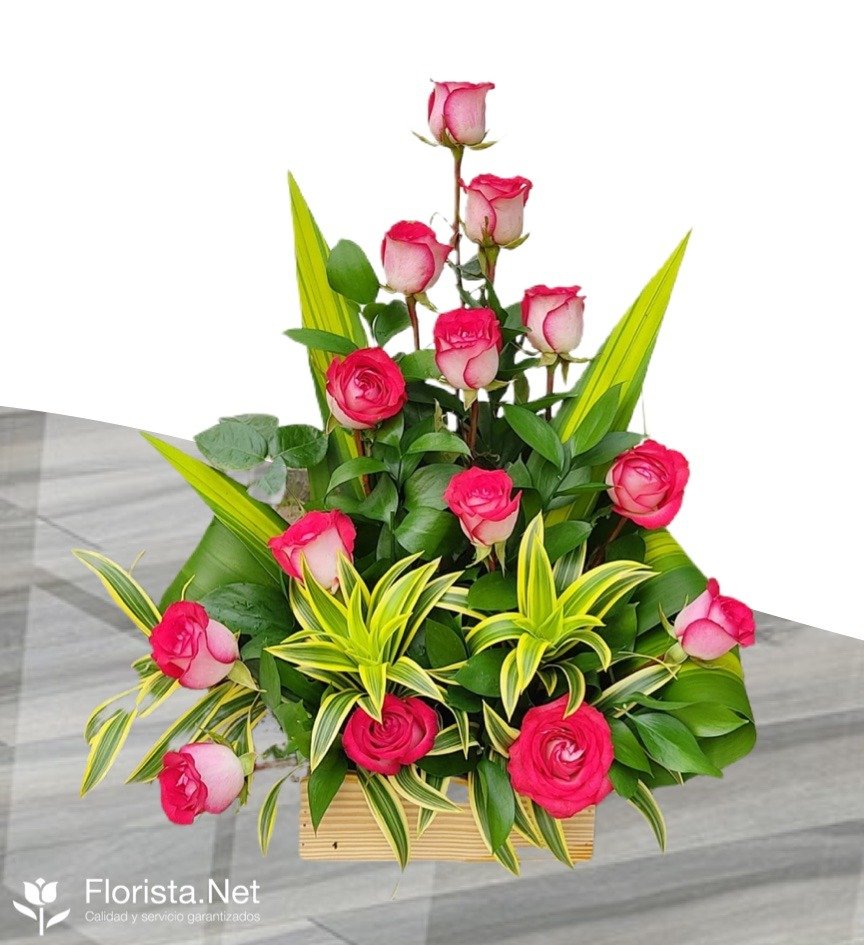 Floristerías En Guamo