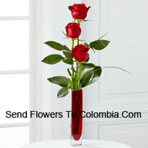 Floristerías En Mitú