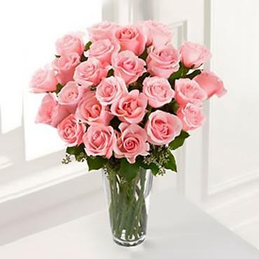 Floristerías En Pueblo Viejo