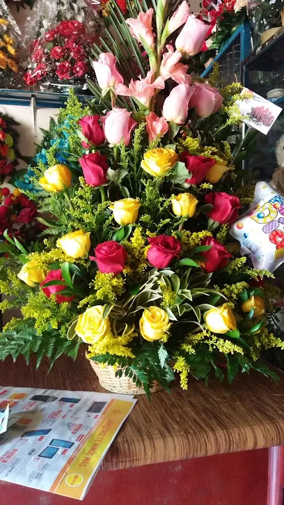 Floristerías En Riohacha