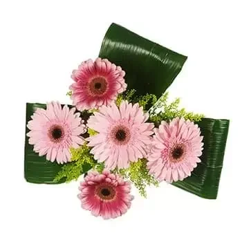 Floristerías En Sabanalarga