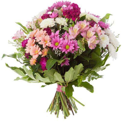 Floristerías En Sahagún