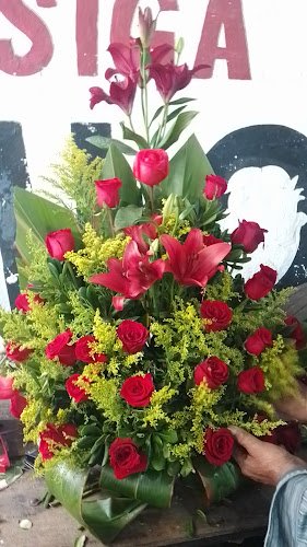 Floristerías En San Andrés