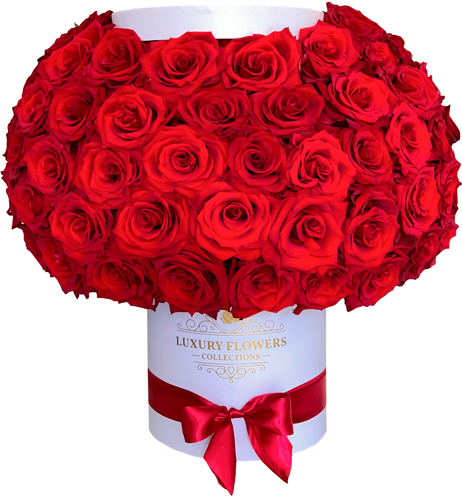 Floristerías En Santo Domingo