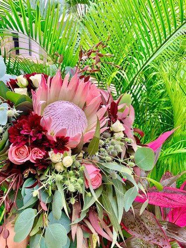 Floristerías En Tolú