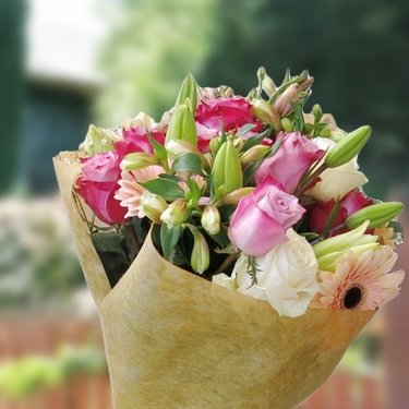 Floristerías En Valdivia