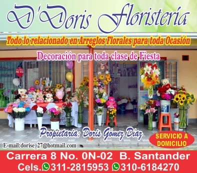 Floristerías En Villa Del Rosario